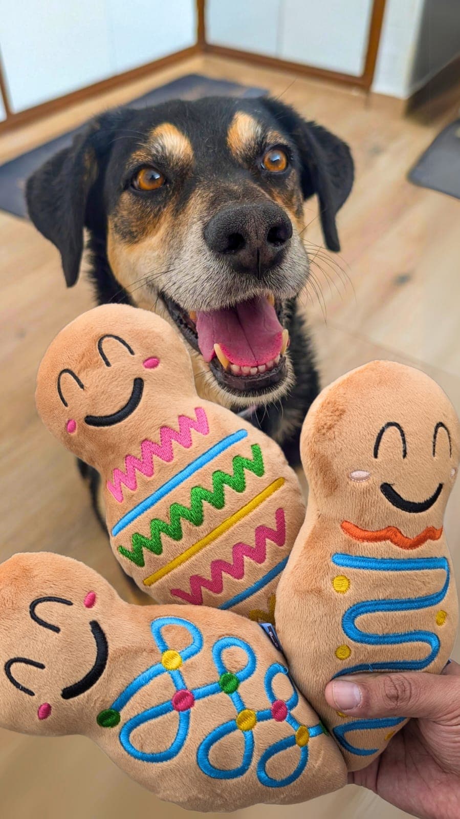 Locos por los Perros — Mascotas